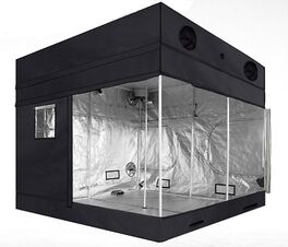 DUTCH MASTERS INVERNADERO 3.60x2.40x2.20/2.50