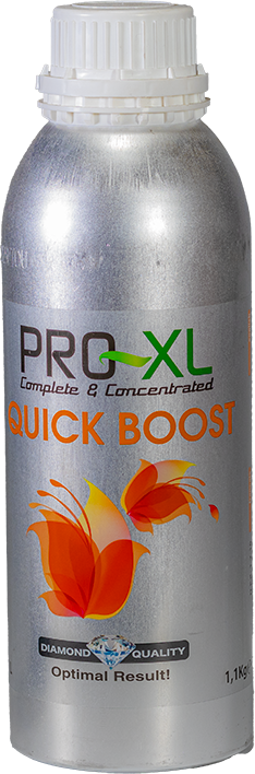 PRO XL QUICK BOOST 1L