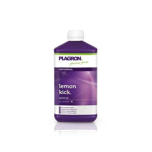 PLAGRON HYDRO B 10L