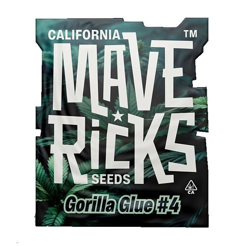 MAVERICKS SEEDS GORILLA GLUE#4 FEM 5UD