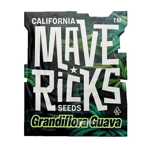 MAVERICKS SEEDS GRANDIFLORA GUAVA FEM 5UD
