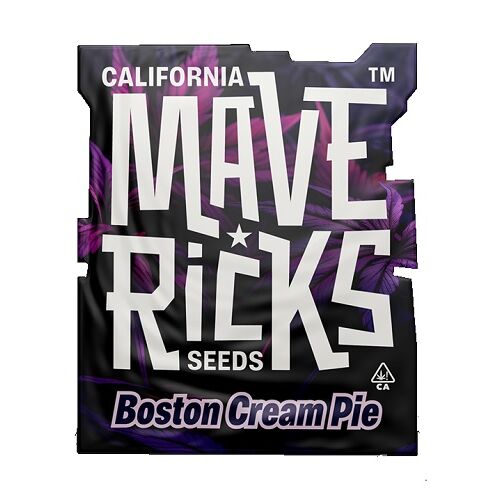 MAVERICKS SEEDS BOSTON CREAM PIE FEM 10UD