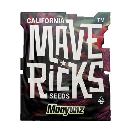 MAVERICKS SEEDS MUNYUNZ FEM 5UD