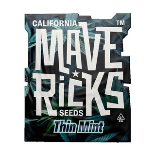 MAVERICKS SEEDS AUTO THIN MINT 100UD