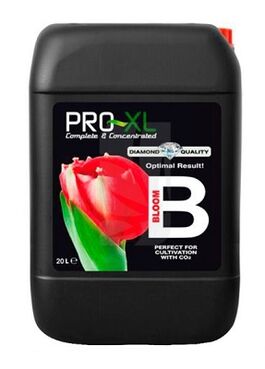 PRO XL BLOOM B 10L