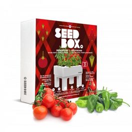 HUERTO URBANO SOLANACEAS