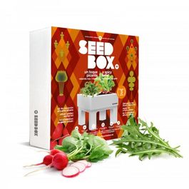 HUERTO URBANO TOQUE PICANTE