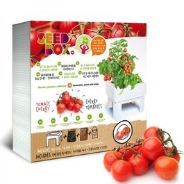 HUERTO URBANO TOMATE CHERRY