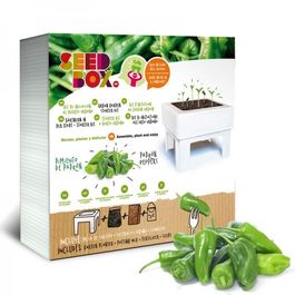 HUERTO URBANO PIMIENTO DE PADRON