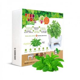 HUERTO URBANO HIERBABUENA