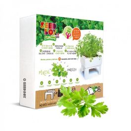 HUERTO URBANO MINI HIERBABUENA