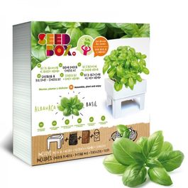 HUERTO URBANO MINI ALBAHACA